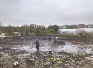 邯郸河道鱼塘清淤